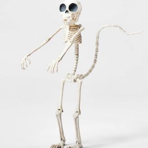 Halloween skeleton